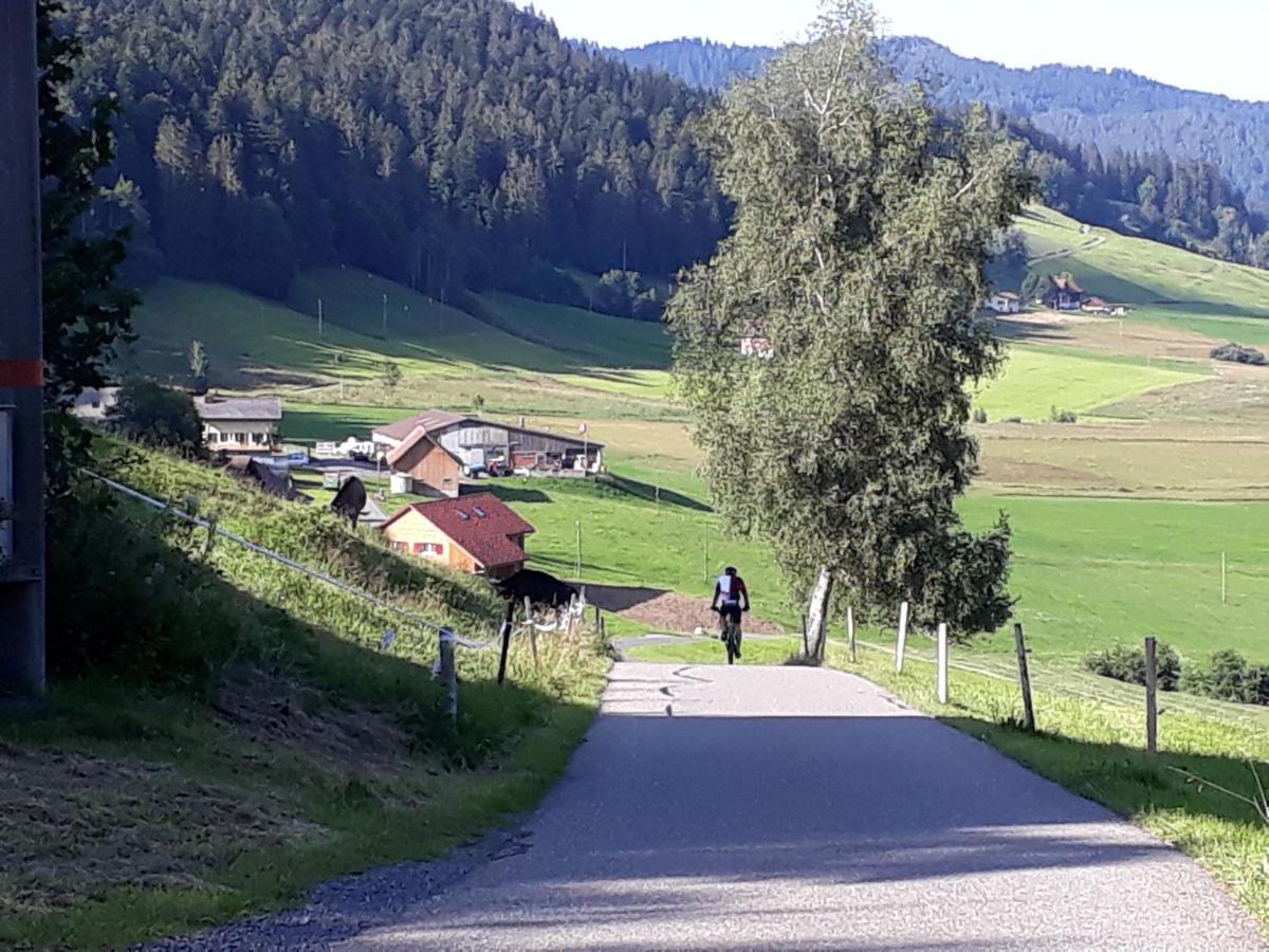 Gaestezimmer Im Dorfzentrum Rothenthurm Екстер'єр фото